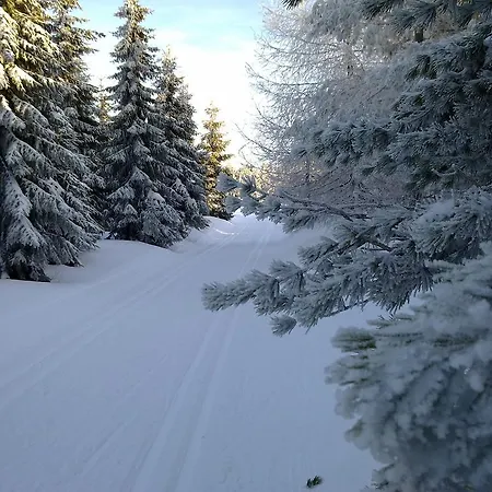 Landpension Wandersruh 3* Langenberg (Erzgebirgskreis)